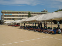 DSCN5930