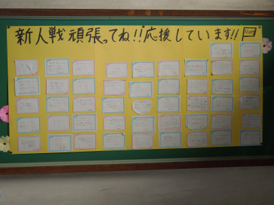 DSCN6082